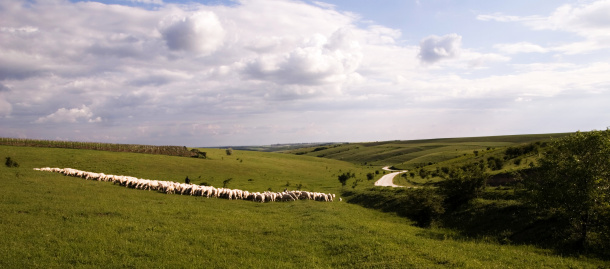 Dobrudža je krajina stepí a pastvin