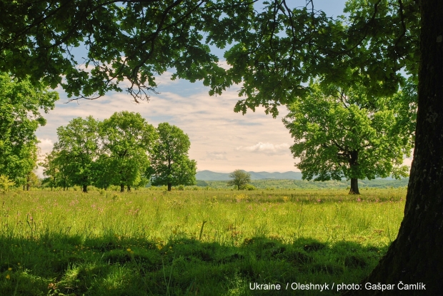 Ukrajina / Gašpar Čamlík