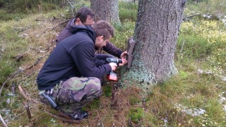 Monitoring rysů probíhá pomocí fotopastí. Fotopasti se instalují ve vhodných lokalitách na strom či kůl pomocí uzamykatelné skříňky.
