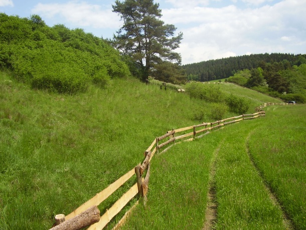 Lokalita Záhonky