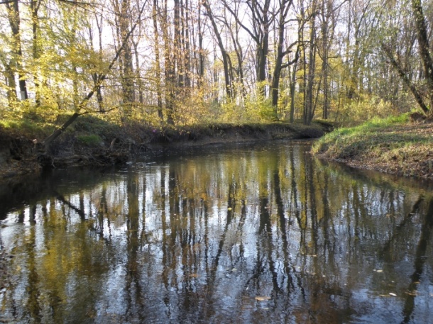 řeka Odra v CHKO Poodří
